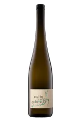 Weisswein, Riesling-Sylvaner - Andrin in Wein gemeisselt, 2024, Schifferli Wein