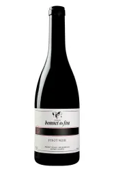 Rotwein, Pinot Noir, 2023, Domaine Bonnet du Fou