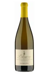 Weisswein, Sauvignon Blanc, 2024, Domaine Grand'Cour - Jean-Pierre Pellegrin