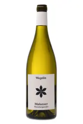 Weisswein, Malanser Weissburgunder, 2025, Weingut Wegelin