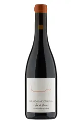 Rotwein, Bourgogne Epineuil L'Ame des Dannots, 2023, Domaine Dominique Gruhier