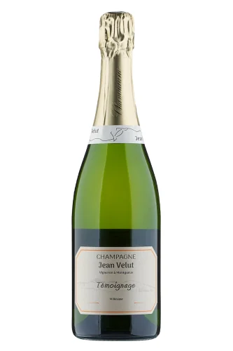 Schaumwein, Témoignage, 2015, Jean Velut