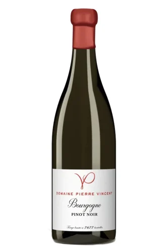 Rotwein, Bourgogne Pinot Noir, 2024, Domaine Pierre Vincent