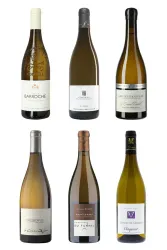 Geniale Weissweine aus dem Rhône-Tal