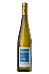 Weisswein, Westhofen Brunnenhäuschen Riesling Grosses Gewächs, 2024, Weingut Wittmann
