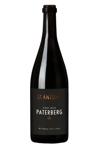 Rotwein, Nierstein Paterberg Pinot Noir Grosses Gewächs, 2022, Weingut St. Antony