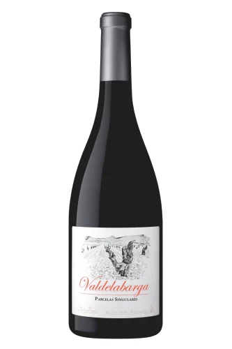 Rotwein, Valdelabarga, 2021, El Escoces Volante