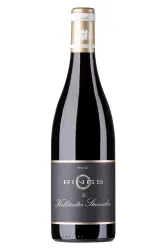 Rotwein, Kallstadt Steinacker Spätburgunder, 2023, Weingut Rings