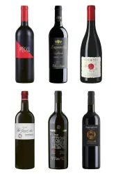 Cabernet Franc - Die Trendsorte