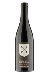 Rotwein, Pinot Noir vom Pfaffen/Calander, 2023, Sprecher von Bernegg