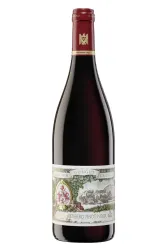 Rotwein, Abtsberg Pinot Noir Grosses Gewächs, 2023, Weingut Maximin Grünhaus