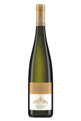 Süsswein, Dorsheimer Goldloch Riesling Kabinett, 2024, Schlossgut Diel