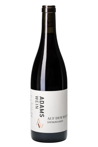 Rotwein, Auf dem Haun Spätburgunder, 2023, Adams Wein