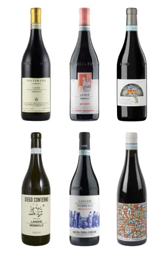 Langhe Nebbiolo - purer Genuss