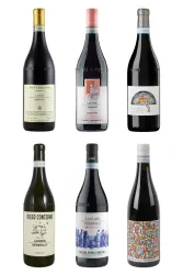 Langhe Nebbiolo - purer Genuss