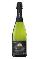 Schaumwein, Gran Reserva, 2019, Cava Guilera