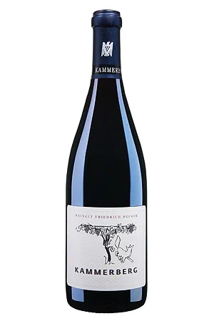 Rotwein, Kammerberg Pinot Noir Grosses Gewächs, 2021, Weingut Friedrich Becker