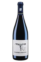 Rotwein, Kammerberg Pinot Noir Grosses Gewächs, 2021, Weingut Friedrich Becker