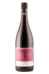 Rotwein, Le Petit Pinot Noir, 2020, Weingut Friedrich Becker