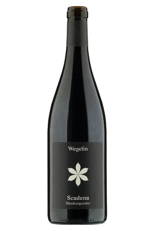 Rotwein, Scadena Blauburgunder, 2022, Weingut Wegelin