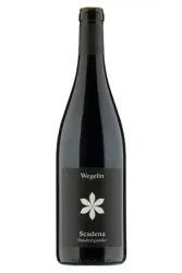Rotwein, Scadena Blauburgunder, 2022, Weingut Wegelin