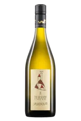 Weisswein, Sauvignon 800, 2024, Thurnhof