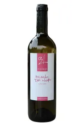 Rotwein, Garanoir, 2022, Weinbau Haselrain