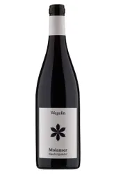 Rotwein, Malanser Blauburgunder, 2023, Weingut Wegelin