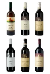 Castello di Ama - das Vorzeige- und Kultweingut aus der Toscana