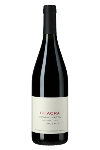 Rotwein, Cincuenta y Cinco, 2024, Bodega Chacra