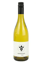Weisswein, Chardonnay Ancestral, 2024, Weingut Karsten Peter