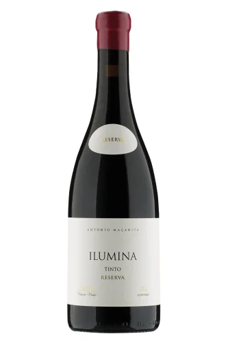 Rotwein, Ilumina Reserva Tinto, 2022, Fitapreta