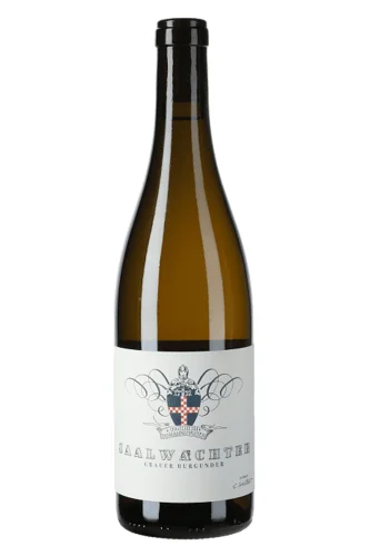 Weisswein, Grauer Burgunder, 2023, Weingut Saalwächter