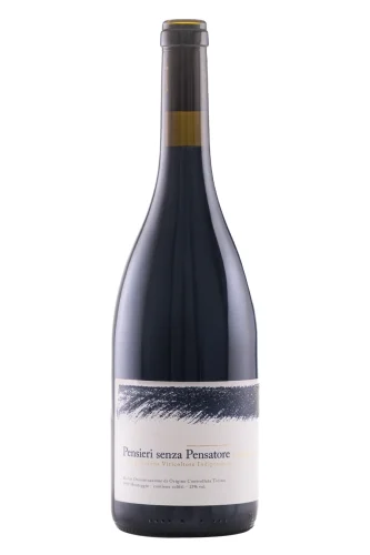 Rotwein, Pensieri senza Pensatore, 2024, Adrien Stevens