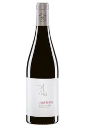 Rotwein, Blaufränkisch Ungerberg, 2016, Weingut Paul Achs