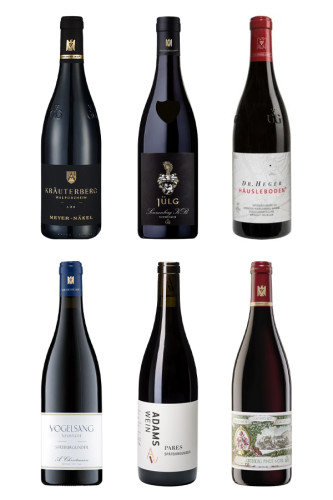 Top-Pinots aus Deutschland