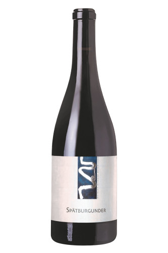 Rotwein, Spätburgunder Hallburg QbA, 2024, Weingut Richard Östreicher