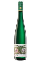 Weisswein, Schloss Riesling, 2025, Weingut Maximin Grünhaus