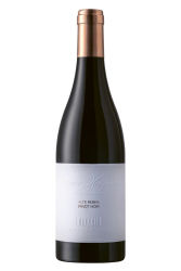 Rotwein, Pinot Noir Alte Reben - Silvia Heinrich Edition, 2021, Weingut Silvia Heinrich