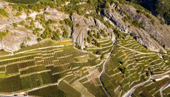 Wein- und Genussreise «Rhône»: Vom Lavaux bis ins Wallis