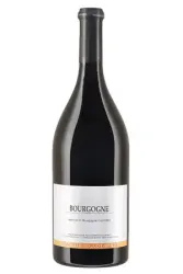 Rotwein, Bourgogne Côte d'Or, 2024, Domaine Tollot-Beaut