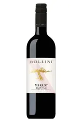 Rotwein, Merlot, 2024, Bollini