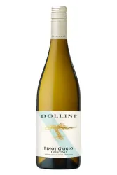 Weisswein, Pinot Grigio, 2025, Bollini