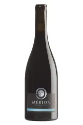 Rotwein, Mérida, 2019, Pago los Balancines
