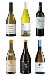 Top-Weissweine aus Spanien