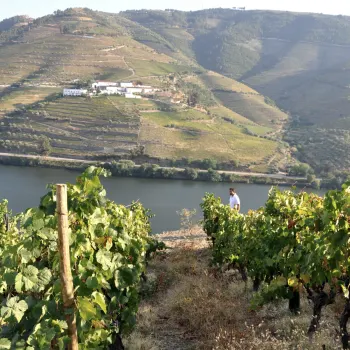 «Winemaker of the Year 2026»: António Maçanita.