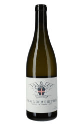 Weisswein, Silvaner Steinkante, 2023, Weingut Saalwächter