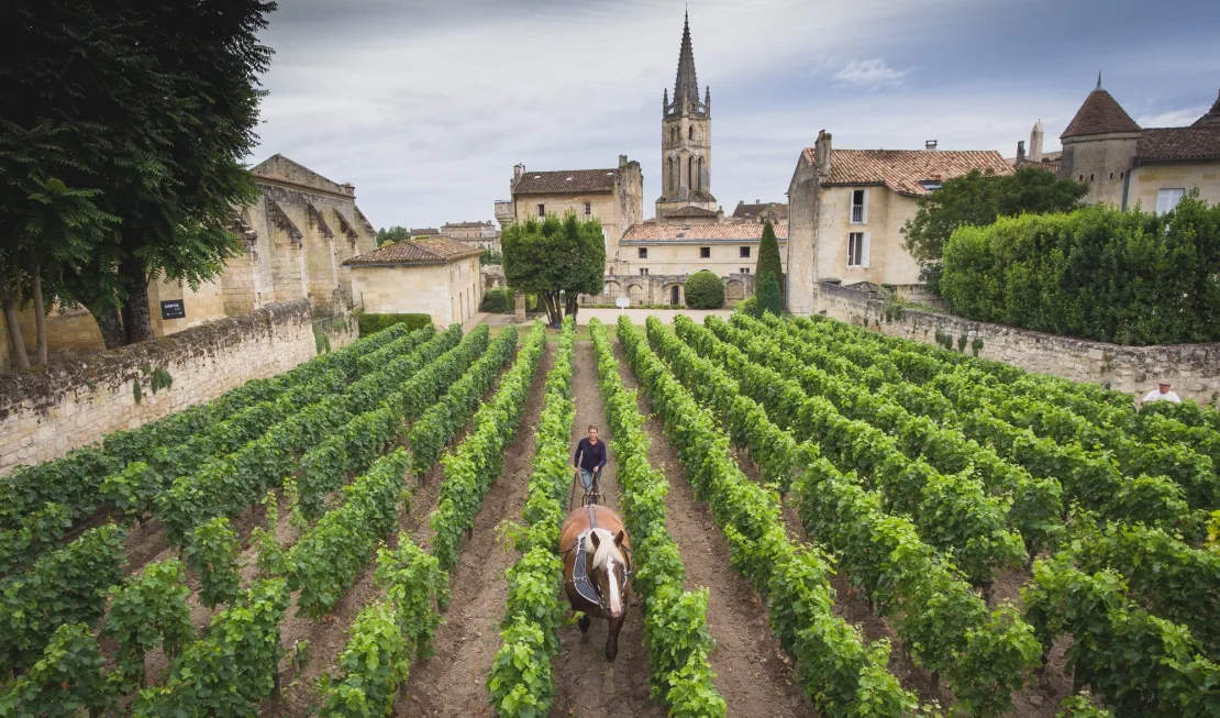 Château Canon, St-Emilion