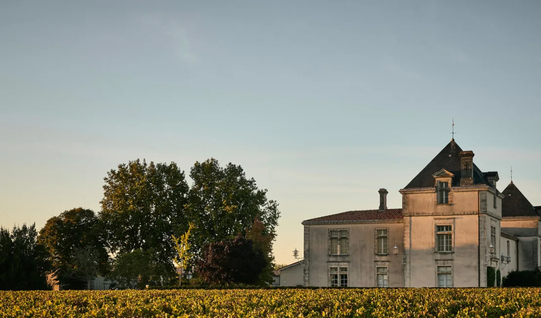 Château de Pez, St-Estèphe