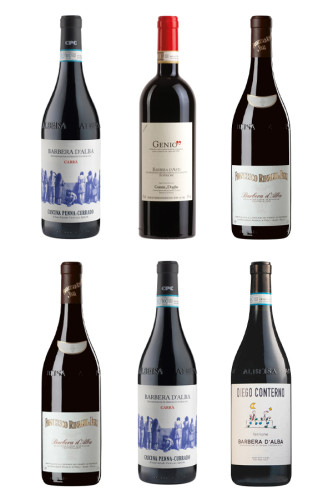Eine Reise durch die Barbera Welt